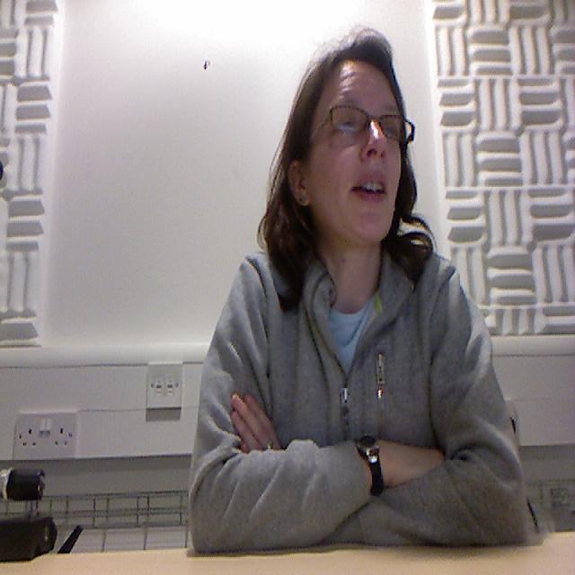 Dataset Image