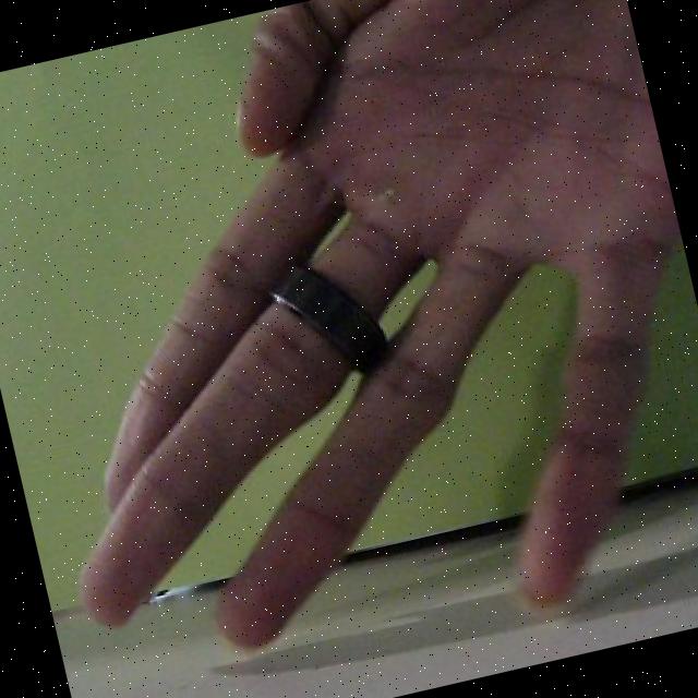 Dataset Image