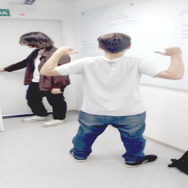 Dataset Image