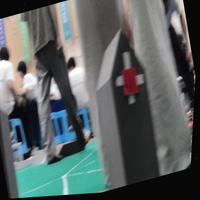 Dataset Image