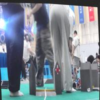 Dataset Image