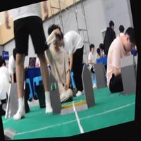 Dataset Image