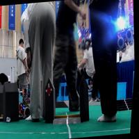 Dataset Image