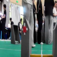 Dataset Image