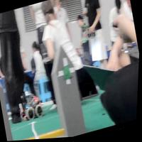 Dataset Image