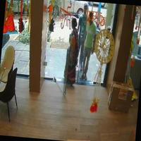 Dataset Image