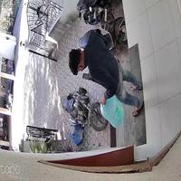 Dataset Image