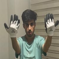 Dataset Image