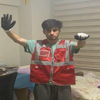 Dataset Image
