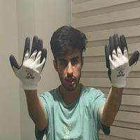 Dataset Image