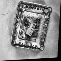 Dataset Image