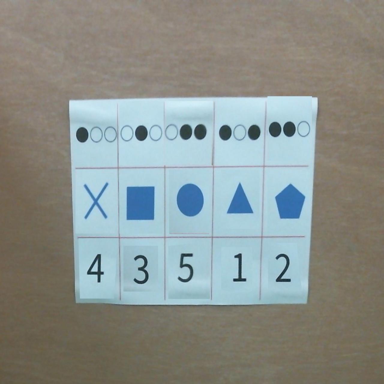 Dataset Image