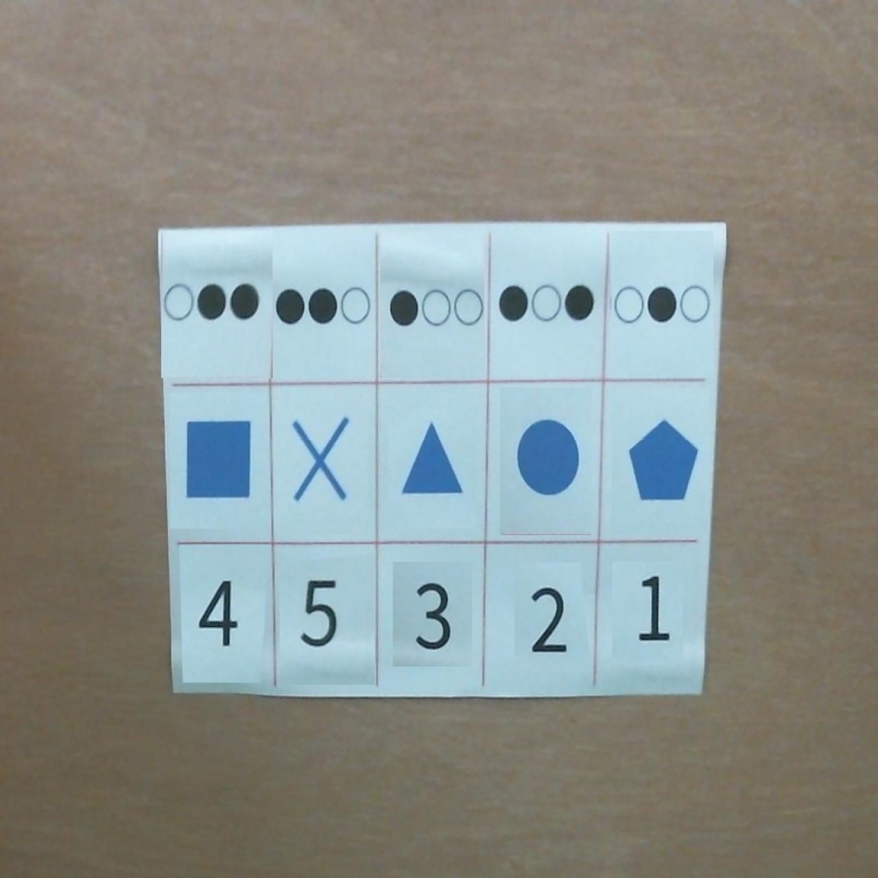 Dataset Image