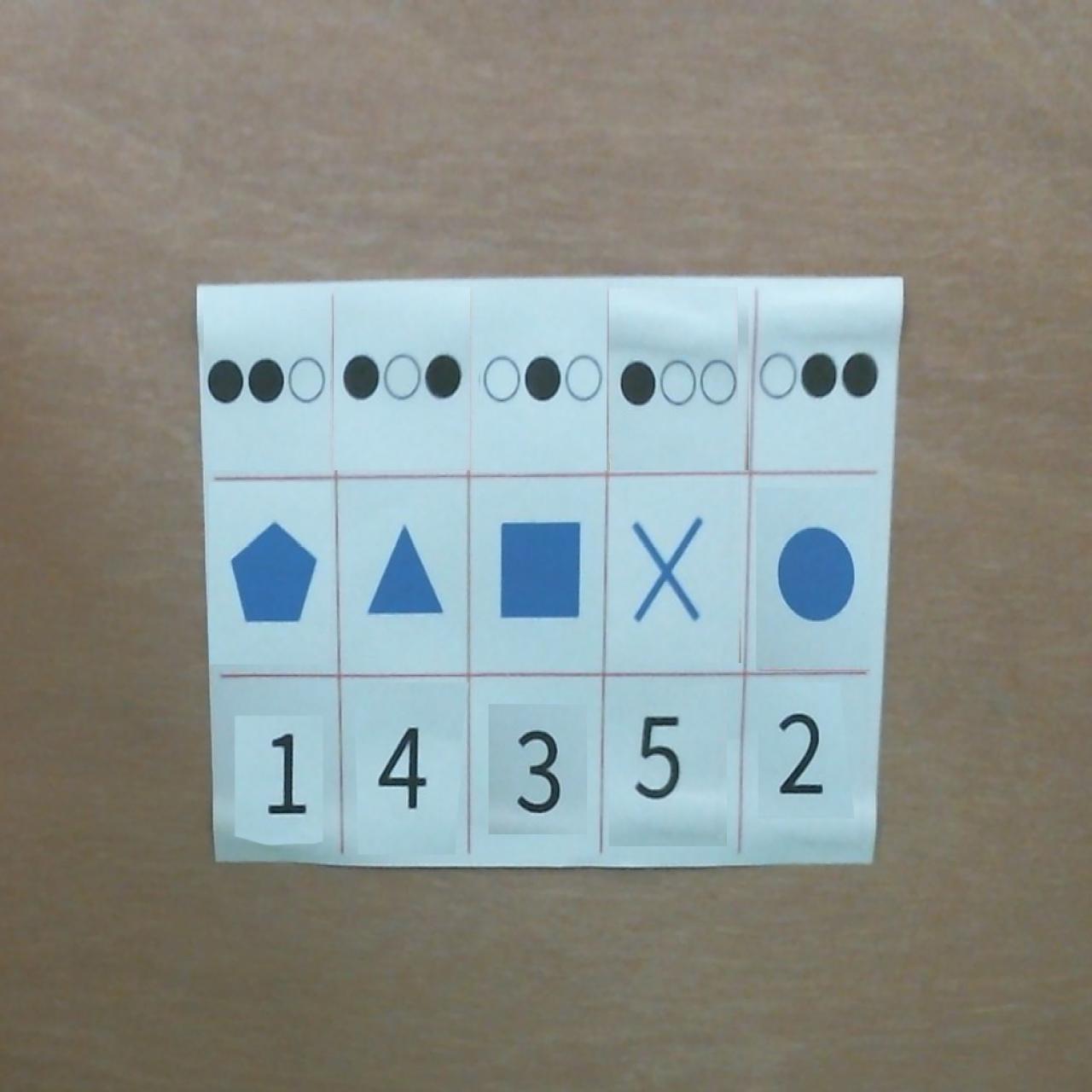 Dataset Image