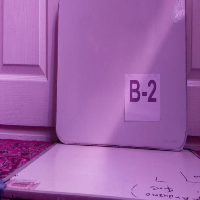 Dataset Image