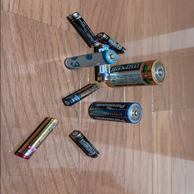 Dataset Image