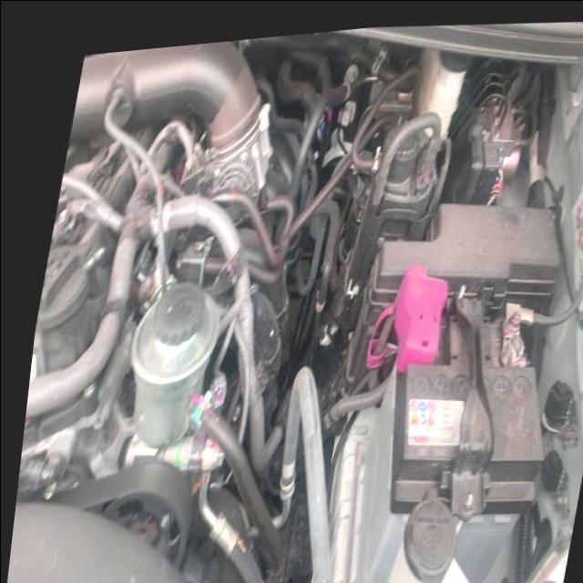 Dataset Image