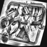 Dataset Image