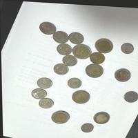 Dataset Image