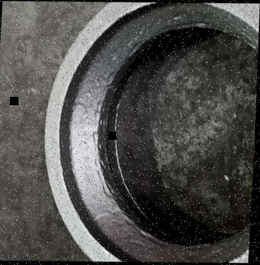 Dataset Image