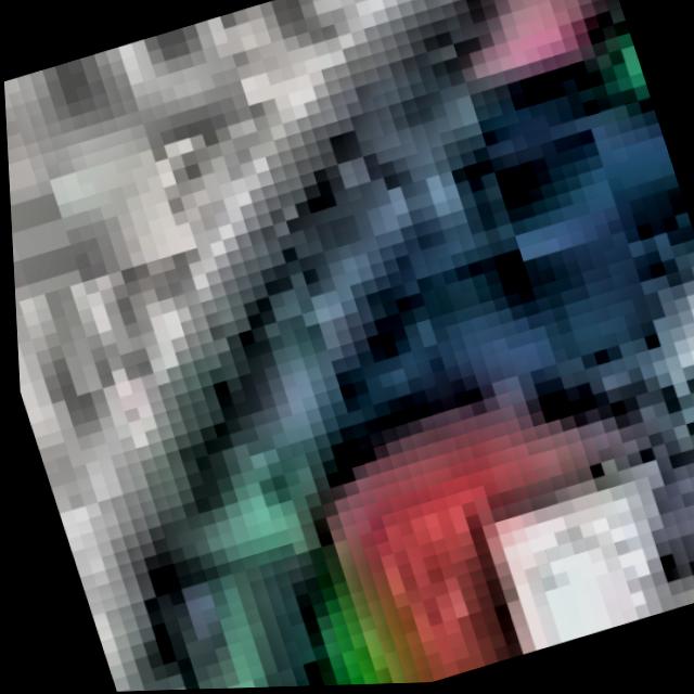 Dataset Image