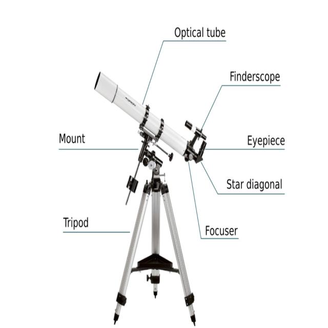 Dataset Image