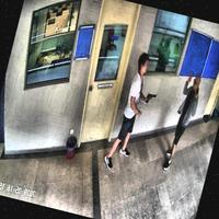 Dataset Image