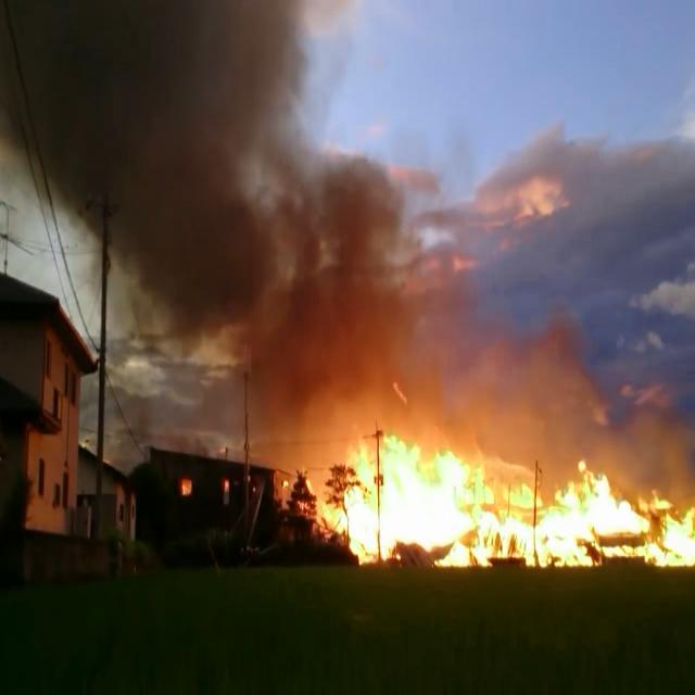 Dataset Image