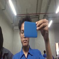 Dataset Image