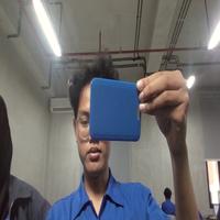 Dataset Image