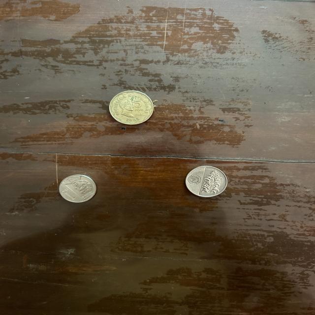 Dataset Image