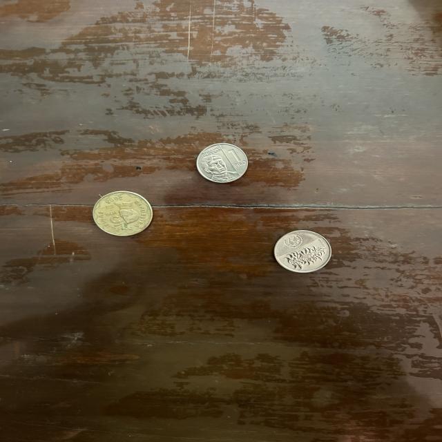 Dataset Image