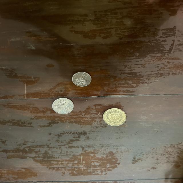 Dataset Image