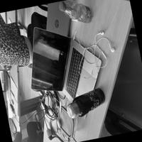 Dataset Image