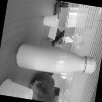 Dataset Image