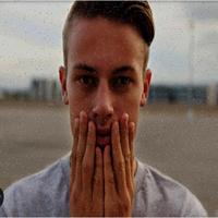 Dataset Image