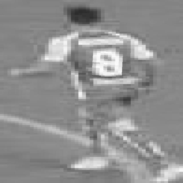 Dataset Image