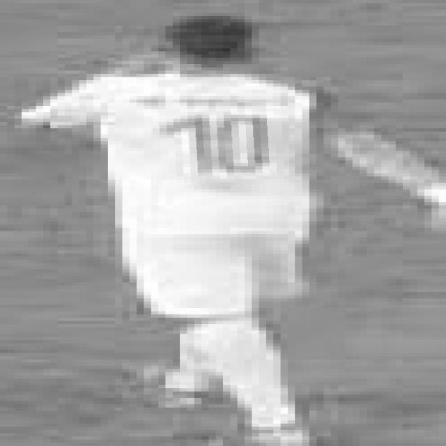 Dataset Image