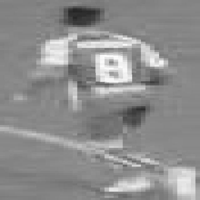 Dataset Image