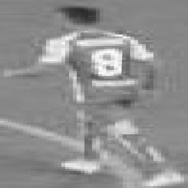 Dataset Image