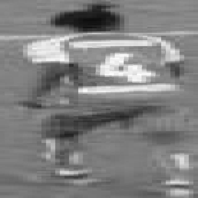 Dataset Image
