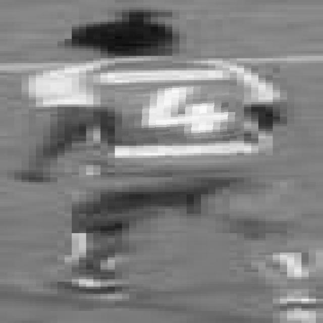 Dataset Image