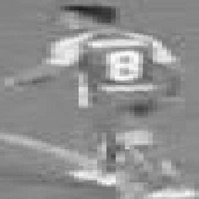 Dataset Image