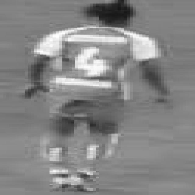 Dataset Image