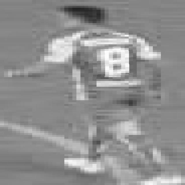 Dataset Image