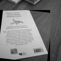 Dataset Image