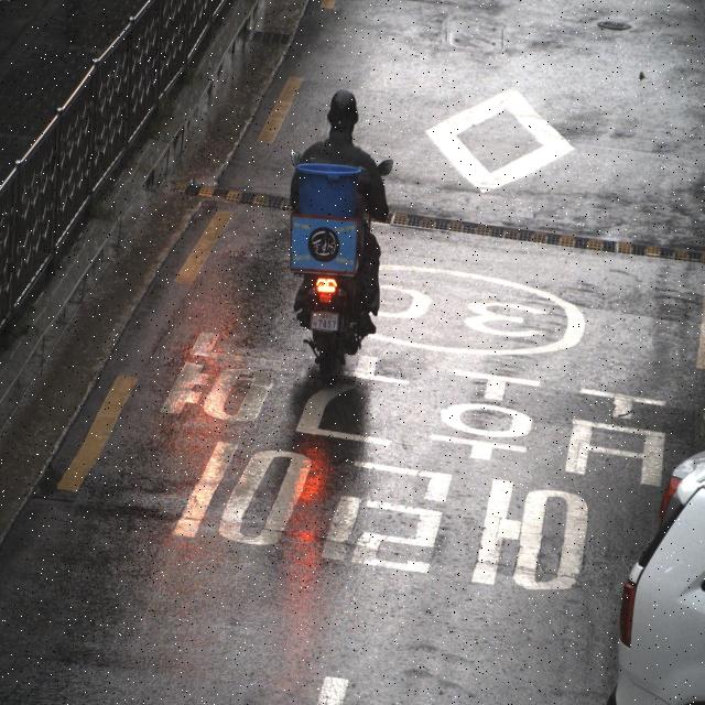 Dataset Image