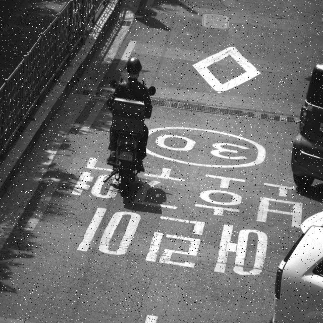 Dataset Image