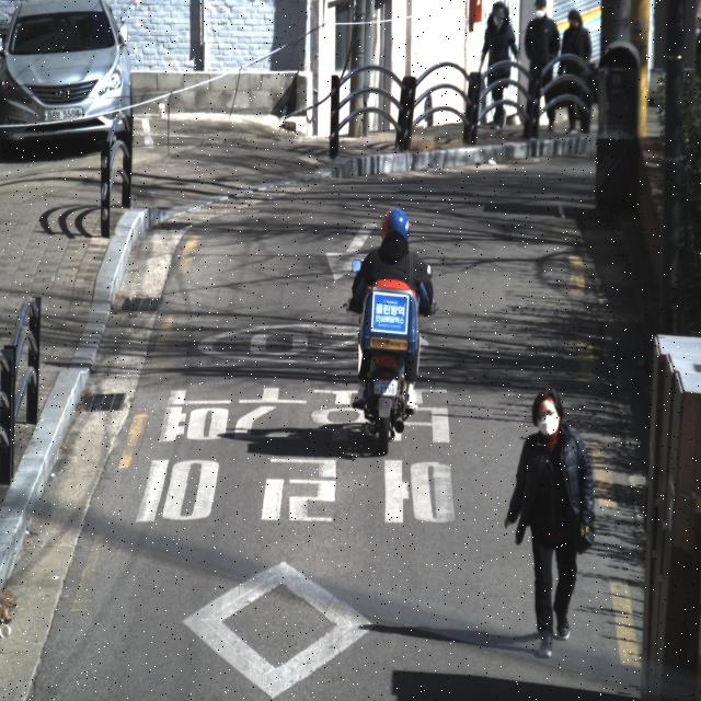 Dataset Image