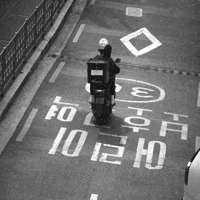 Dataset Image